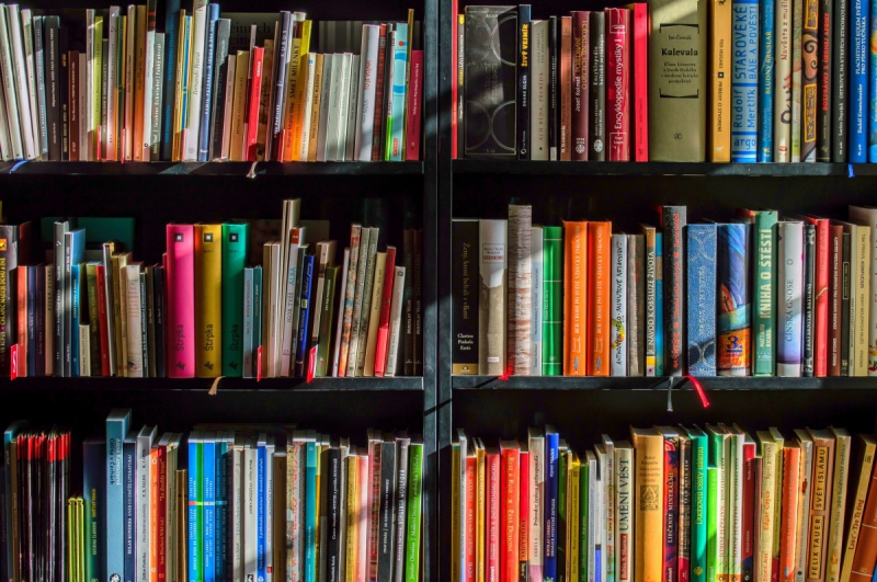 boutique-TENDE-min_books_bookstore_book_reading_shop_writer_sale_books_read-822866